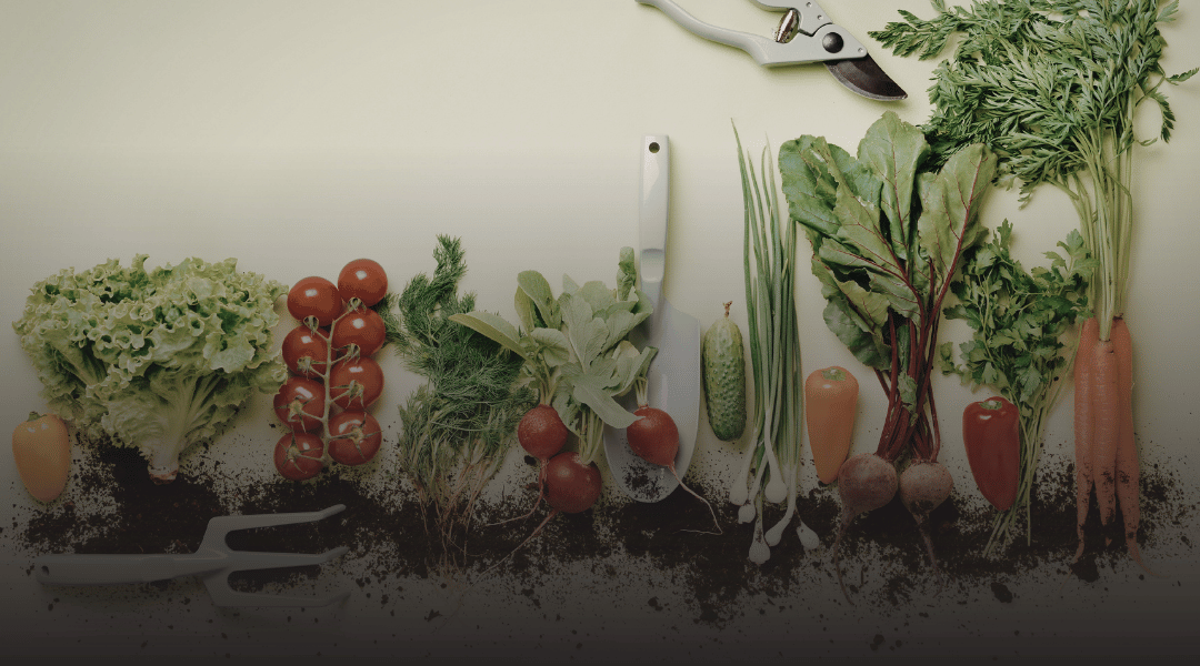 Corso HACCP SicurEva: formazione sull'igiene e la sicurezza alimentare a Cagliari